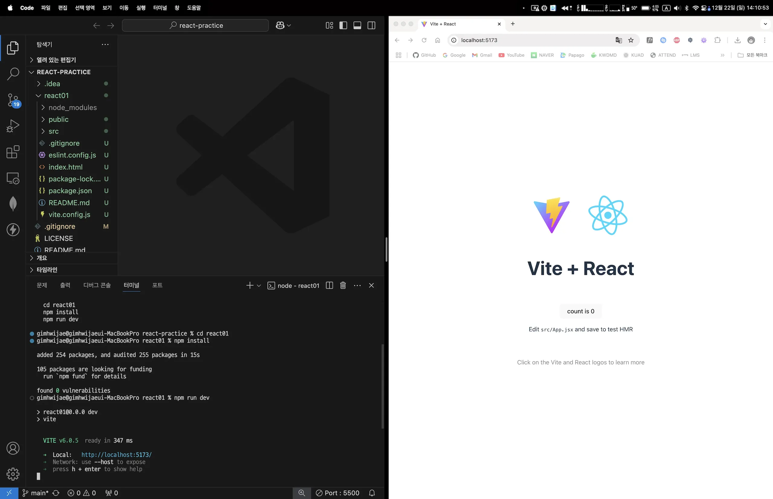Vite + React